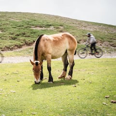 La Molina activa la totalidad de su oferta para el verano