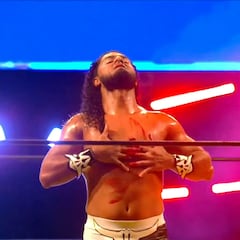 Estrellas de WWE llegarán a la Triplemanía Regia de Triple A