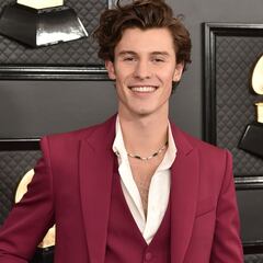 Shawn Mendes comments on healing process since canceling world tour