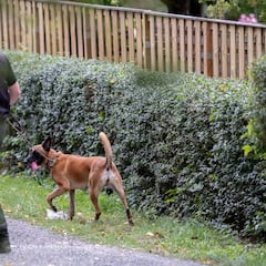 Caso Madeleine. La policía encuentra un sótano oculto en la casa del sospechoso