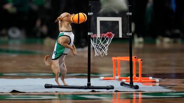 Associated Press/LaPresse
Only Italy and Spain