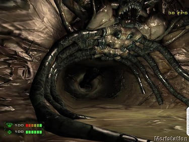 Arranca la web oficial de Operation: Matriarchy