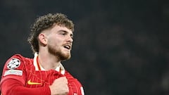 Liverpool vs Lille summary: score, stats, goals and highlights | Champions League 2024/25