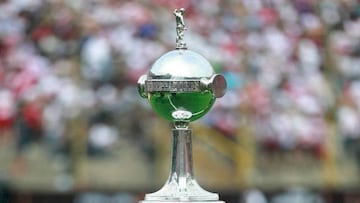 Este s&aacute;bado Brasil quedar&aacute; paralizado cuando se midan desde el Estadio Maracan&aacute; Palmeiras y Santos en la final de la Copa Libertadores, este s&aacute;bado 30 de enero.