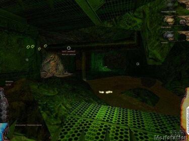 Disponible la versión 3.0 de Natural Selection