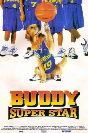 'Air Bud' fue una película de Disney, que contaba las peripecias de un perro con muchas habilidades para el baloncesto. Fue todo un éxito: reacudó 4 millones de dólares en un fin de semana (su presupuesto había sido de sólo 3). Disney vio en este simpátic