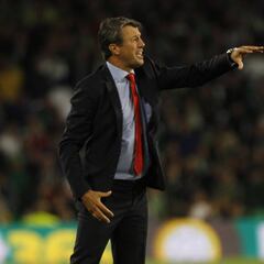 El Wuhan Zall trabaja en Málaga sin sintomatología del virus