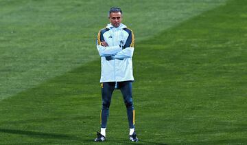 Luis Enrique, técnico de la selección española.