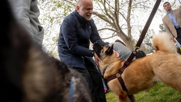 Cámara aprueba permiso laboral por muerte de mascotas, mientras Republicanos lo rechaza: “Es un escándalo”