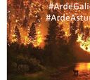 La solidaridad del mundo del deporte con los incendios de Galicia, Asturias y Portugal