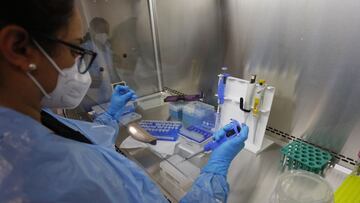 Curva y mapa de casos, contagios y muertes por región en Chile, hoy, viernes 18 de junio