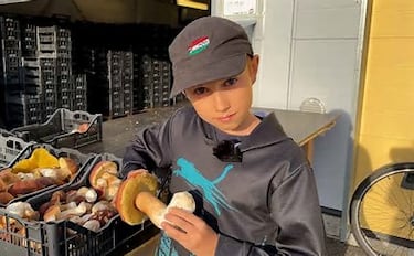 Un niño está llorando una gran cantidad de reúnes de hongos y es triste porque la escuela le impide usar el mejor momento