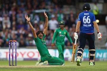 Eoin Morgan, bowled Irfan.