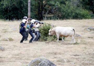 Los fotógrafos buscan la mejor fotografía. 