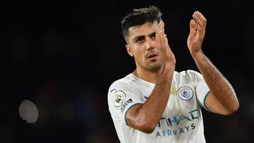 Rodrigo Hern&aacute;ndez, en el partido entre el Crystal Palace y el City.