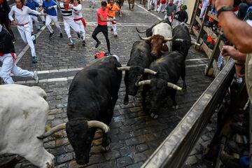 Hoy 8 de julio de 2022 se ha celebrado el segundo día de los encierros de los Sanfermines. Por las calles de Pamplona ha corrido los toros de la ganadería Fuente Ymbro.