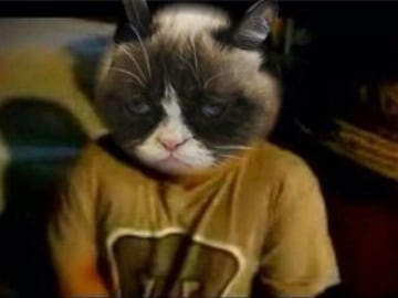 Los mejores memes de este 2015 sobre los Pumas