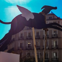 ¿Qué se puede hacer y qué no con la nueva ley de bienestar animal?