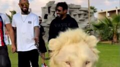 Vidal pasea leones y tigres en la casa de un multimillonario en Dubái: las redes arden