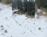 Nevado de Toluca se pinta de blanco por primera nevada invernal