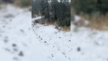 Nevado de Toluca se pinta de blanco por primera nevada invernal