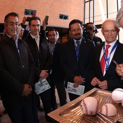 ProBeis tendrá un presupuesto anual de 350 millones de pesos