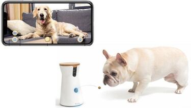 Vigila y juega con tus mascotas con la cámara Furbo top ventas