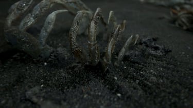 Qué podemos esperar de Death Stranding