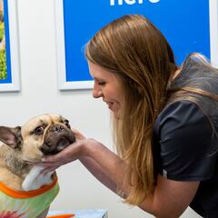 Walmart to open 5 new Pet Services centers: locations and opening dates
