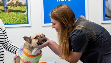 Walmart expands pet care centers and services