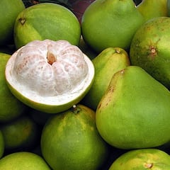 El superalimento recomendado para prevenir los catarros
