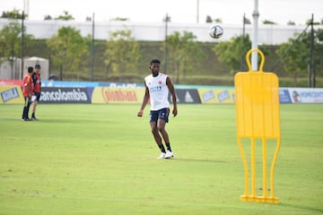 El equipo de Reinaldo Rueda tiene el gran objetivo de conseguir los tres puntos ante Ecuador en su casa. El partido será clave para la clasificación y el entrenador ya determina los detalles de los 11 jugadores que comenzarán el partido este jueves 13 de octubre. 