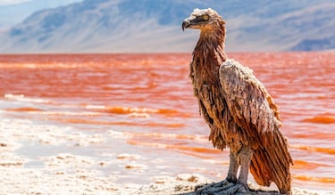 El aterrador lago de sangre que convierte a los animales en piedra, a excepción de esta tierna y amorosa especie