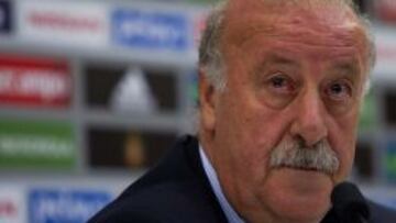 Vicente del Bosque