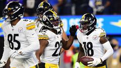 The Pittsburgh Steelers haven&rsquo;t delivered a particularly fine performance this NFL season, currently sitting third in the AFC North standings at 5-4-1.