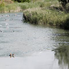 Las mejores imágenes del Tri Cross del Tajo