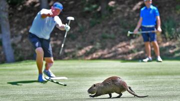 Una espontánea muy particular