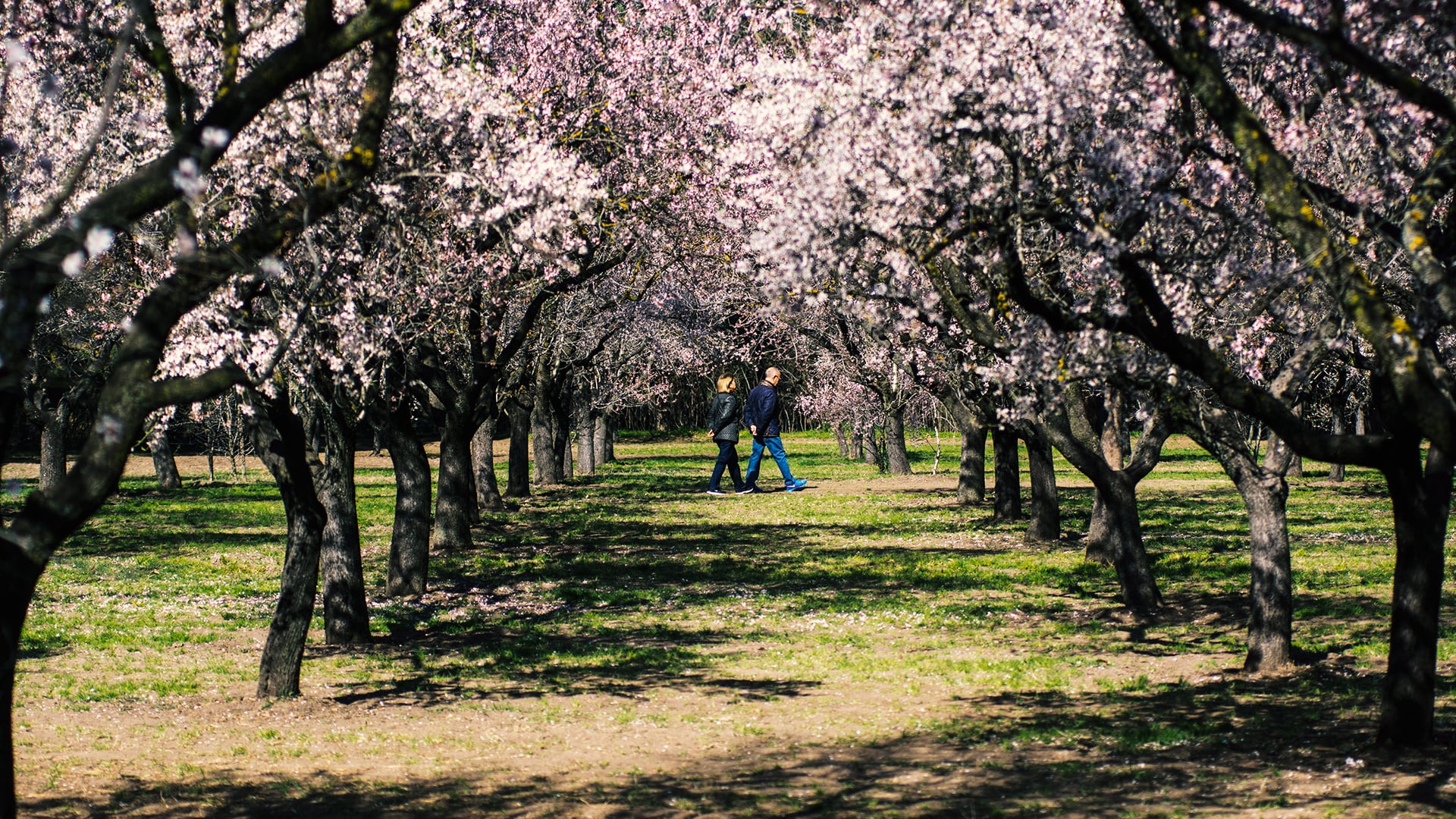 OU5ENQWTOFEGDADGFUNOWP2RVA.jpg?auth=2f6bf95794b41273046e241e822f02a1a23d38b38689529eaeb24498bdd982fd