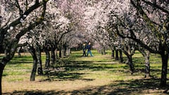 Estos son los mejores parques y jardines de Madrid para perderse
