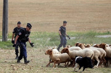 Protests and tear gas in the 16th stage of the Tour de France