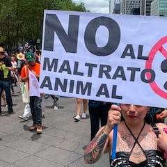 Marcha contra el maltrato animal en CDMX, resumen 25 junio: horario, ruta y calles cerradas