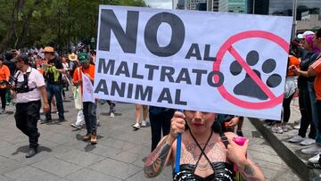 Marcha contra el maltrato animal en CDMX, resumen 25 junio: horario, ruta y calles cerradas