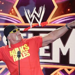 Hulk Hogan: "No estaré en WrestleMania 34"