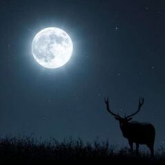 Luna Llena de julio 2024: ¿cuándo y a qué hora ver la Luna de Ciervo en México?