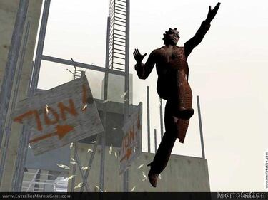 Enter The Matrix (GameCube)