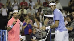 Del Potro vuelve a vencer a Ferrer en partido de exhibición