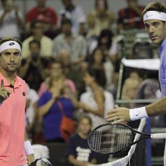 Del Potro cierra su gran 2016 con otra victoria ante Ferrer