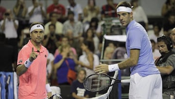 Juan Martín del Potro y David Ferrer durante el segundo desafío de la Copa Peugeot, en el Polideportivo Islas Malvinas de Mar del Plata (Argentina).