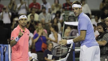 Juan Mart&iacute;n del Potro y David Ferrer durante el segundo desaf&iacute;o de la Copa Peugeot, en el Polideportivo Islas Malvinas de Mar del Plata (Argentina).