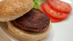 FILE PHOTO: The world's first lab-grown beef burger is seen after it was cooked at a launch event in west London August 5, 2013. The in-vitro burger, cultured from cattle stem cells, the first example of what its creator says could provide an answer to global food shortages and help combat climate change, was fried in a pan and tasted by two volunteers. The burger is the result of years of research by Dutch scientist Mark Post, a vascular biologist at the University of Maastricht, who is working to show how meat grown in petri dishes might one day be a true alternative to meat from livestock.The meat in the burger has been made by knitting together around 20,000 strands of protein that has been cultured from cattle stem cells in Post's lab. REUTERS/David Parry/pool (BRITAIN - Tags: ANIMALS ENVIRONMENT FOOD SCIENCE TECHNOLOGY) FOR EDITORIAL USE ONLY. NOT FOR SALE FOR MARKETING OR ADVERTISING CAMPAIGNS/File Photo